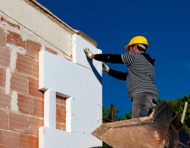 Best Insulation Installation Services in Bosque Farms, NM
