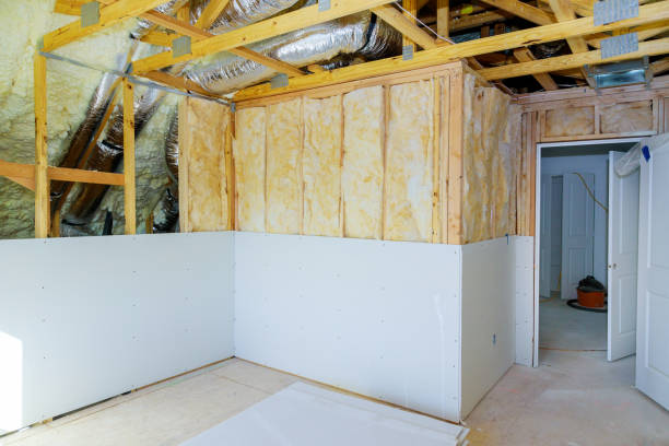 Best Insulation Maintenance and Repair in Bosque Farms, NM